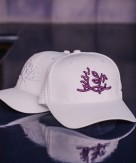 Casquette logo Domaine de Murtoli Blanc/Violet