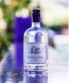 Gin du Domaine de Murtoli - édition classique