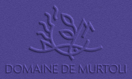 logo-domaine-murtoli-footer